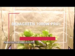 1080W Full Spectrum LED Grow Lights 5X5 5000K Cool White 2.65umol/J