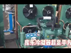 Воздух Emerson Copeland герметичный охладил конденсируя блок рефрижерации крутой комнаты блока video