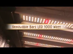 2000umol/S 1000 приведенных ватт растут светлая Адвокатура приведенная для того чтобы вырасти светлые прокладки для вертикального сельского хозяйства video