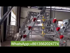 Гальванизированные горячие связывают проволокой утверждение SGS птиц/набора клетки 240 цыпленока младенца 4 слоев video