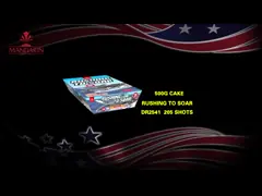 良質の205の打撃が標準的な500G花火を固める瀏陽市を卸し売りする video