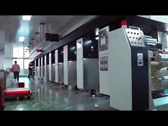 China Automatic Dry Food Vacuum Sealer Machine Food Fresh Vacuum Sealer Plastic Rolls supplier