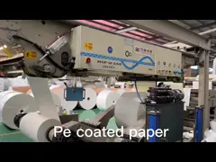 170gsm напечатало вентилятор чашки бумаги с покрытием PE выбило дизайн video