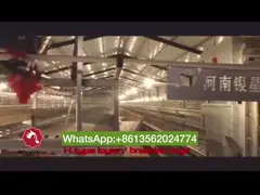 Размер системы 1950x2300x1500mm клетки цыпленка батареи птиц SGS 90-384 video