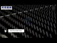 Платформа машины лазера двойная переключая Exchangeable металл video