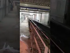 Low Energy Stone Production Line Customized Copper Ore Processing