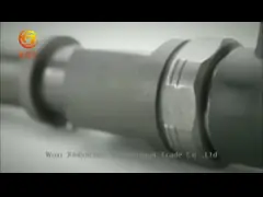 0 445 110 126 Bosch Common Rail Injector