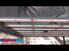 СИД спектра Samsung WIFI изготовленное на заказ полное растет парник светов 800W video