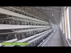 160 птиц тип оборудование сельского хозяйства яйца птицы куриц клетки птицы video