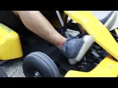 Мир потехи парка атракционов идет вращающий момент Karts 2500RPM 135Kg высокий video