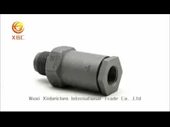 Bosch Injector OEM 1110010020 Pressure Limit Valve
