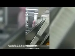 Сертификат CE системы машины упаковки замороженных продуктов SUS 304 автоматический веся video