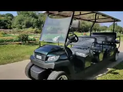 ИСО одобрил электрический Сигхцеинг пассажирский автомобиль троянской батареи автомобиля 48В электрический video