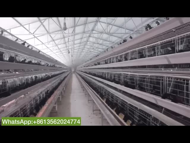 90/96/120/128/160 Pássaros em camada Sistema de gaiolas de frango Agricultura Tipo A Níveis 3 ou 4