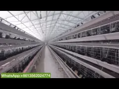 Изготовленное на заказ Multi оборудование цыпленка курятника клетки цыпленка батареи слоя video