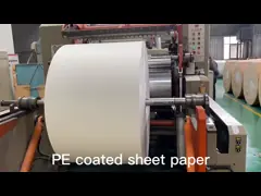 Флексо печать биоразлагаемые чайные чашки бумажные чашки вентилятор с двойной стороной PE video