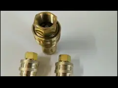 Гидравлическое 800psi 2 латунное соединение быстрого выпуска для жидкости video