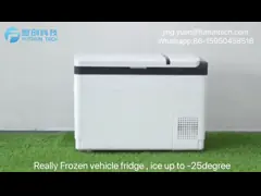 PAHS располагаясь лагерем 20L удваивают холодильник автомобиля комнаты малошумный video