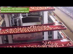 3, 4, 5 ярусов слой рамки арретируют оборудование дома кладя куриц птицы цыпленка video