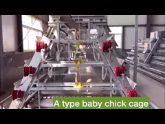 China 60 Days Baby Chicken Galvanized Multi Poultry Broiler Cage Chicken Raising supplier