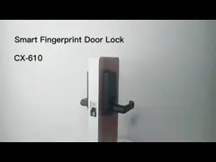 замок TT отпечатка пальцев безопасностью 70x30mm цифров умный для домов video
