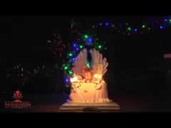 Звезда китайского бенгальского огня фейерверка крытая сформировала бенгальские огни свадьбы электрические video