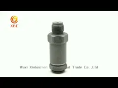 1110010035 Common Rail Pressure Limiter For Bosch Injector