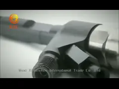 Common Rail Diesel Denso Fuel Injectors 095000-6790