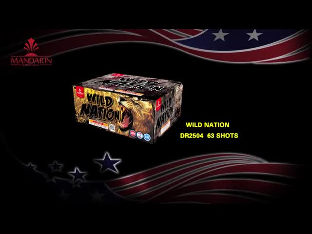 63 Shots New Item Rapid Tails Shooting Cake Fireworks video