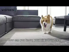 ABS Humidifier Air Purifiers Child Lock 300m3/h Hepa Filter Air Cleaner