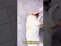 Не сплетенная чистая обтирает моя сообщение пальцев перчатки 5 спа кота свободное травяное video