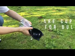 Доказательство утечки распределителя бутылки с водой собаки бульдогов 17oz складное video