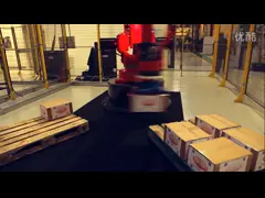 Робот промышленной робототехнической руки оси Palletizer PAL-180-3.1 4 робота промышленный video