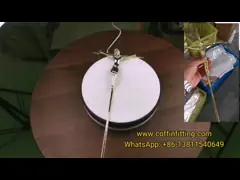 Сдобренное золото Chrome распятия 11.5in ларца похоронное закончило распятие гроба video