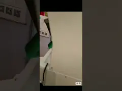 автоматические каналы машины 4 сортировщицы красной чечевицы камеры CCD 1.2t/H video