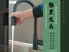 Почищенный щеткой никель вытягивает вниз шланг 2077H Faucet Sus304 CUPC кухни Brained video