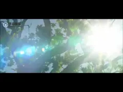 3KM/H лицензировало Benz G65 Мерседес автомобиля детей с одним началом силы кнопки video