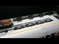 Принтер сублимации Acetek Eco 1.6/1.8/3.2m с печатающей головкой I3200 video