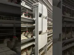 Automatic H Type Layer Chicken Cage Battery Chicken Cages For Poultry Farm video