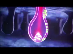 Прибор Regrowth крышки роста волос лазера 272 LLLT красный для домашней пользы video