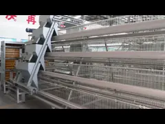China Chickens A Type Layer Cages , High Efficiency Poultry Processing Equipment supplier