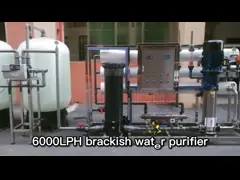 RO Underground Brackish Water System Salt Well Water Purifier 6000LPH Borehole Salty Water Treatment Machinery