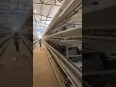 Automatic Layer Chicken Cage Battery Powered For Poultry Farm