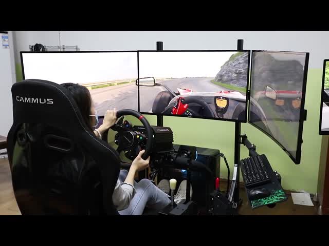 遊園地のための動きのシミュレーターを運転する15Nm