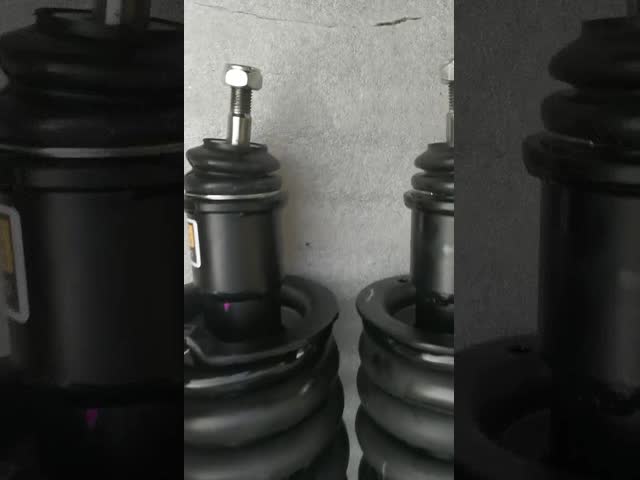 A1633202413 Mercedes Benz W163 Rear Hydraulic Spring Shock Absorber Assembly
