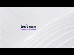 BWT Introduction (Latest version)