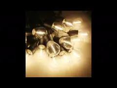 фестон СИД 220V освещает безосколочный шарик нити Dimmable для крылечка партии балкона патио video