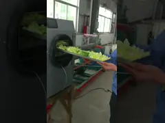 Малошумный портативный сушильщик замораживания 1.75KW еды 0.4m2 с емкостью 4-6kg video