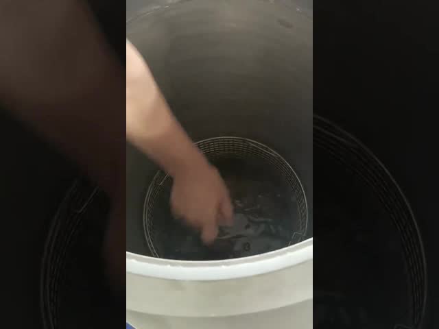 75L 100L 150Lの蒸気オートクレーブの滅菌装置の縦圧力