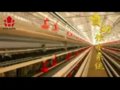 клетки батареи триперсток дверей Дя 2 9.5мм, клеток яйца триперсток 1300 * 450 * 250мм video